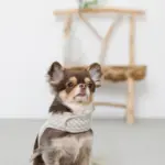 ギンガムチェックハーネス - 画像 (9)