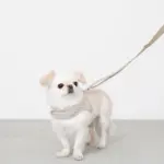 ギンガムチェックハーネス - 画像 (10)