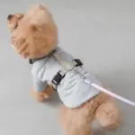 LEDライトリード 3m - 画像 (3)