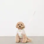 ぽこぽこチェックハーネス＋リードSET【名入れ刺繍対応】 - 画像 (2)