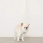 ぽこぽこチェックハーネス＋リードSET【名入れ刺繍対応】 - 画像 (4)