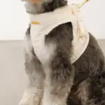 ぽこぽこチェックハーネス＋リードSET【名入れ刺繍対応】 - 画像 (9)