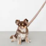 ギンガムチェックチェリーハーネス - 画像 (4)