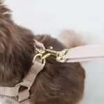 ギンガムチェックチェリーハーネス - 画像 (5)