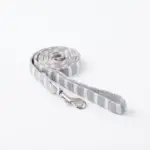 ボーダーリード - 画像 (3)