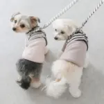 ボーダーリード - 画像 (7)