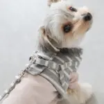 ボーダーリード - 画像 (8)