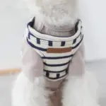 ボーダーリード - 画像 (10)