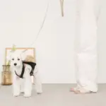 ベージュバックパックハーネス - 画像 (4)