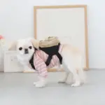 ベージュバックパックハーネス - 画像 (7)