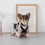 ベージュバックパックハーネス - 画像 (8)