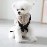 ベージュバックパックハーネス - 画像 (10)