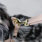 大理石調柄ハーネス - 画像 (6)