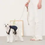 デニムバックパックハーネス - 画像 (3)