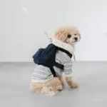 デニムバックパックハーネス - 画像 (4)