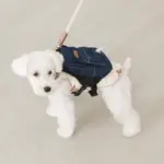 デニムバックパックハーネス - 画像 (6)