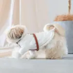 レザーハーネス　MEDIUM - 画像 (5)