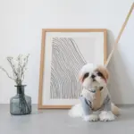 レザーハーネス　MEDIUM - 画像 (6)