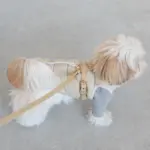 レザーハーネス　MEDIUM - 画像 (7)