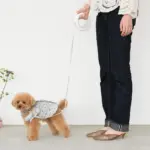 リングライトリード - 画像 (2)