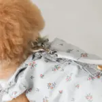 リングライトリード - 画像 (4)