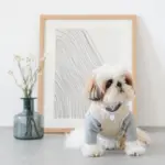 レザークラフトサークルネックレス - 画像 (4)