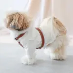 レザーハーネス　SMALL - 画像 (8)