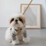 レザーハーネス　SMALL - 画像 (10)