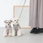 ボーダーハーネス+ボーダーリードSET - 画像 (4)