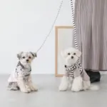 ボーダーハーネス+ボーダーリードSET - 画像 (6)