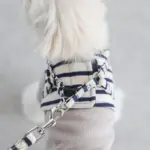 ボーダーハーネス+ボーダーリードSET - 画像 (8)