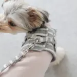 ボーダーハーネス+ボーダーリードSET - 画像 (9)