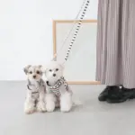 ボーダーハーネス - 画像 (2)