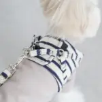 ボーダーハーネス - 画像 (10)