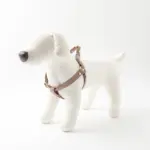 シュリンクレザーハーネス - 画像 (2)