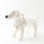 シュリンクレザーハーネス - 画像 (4)