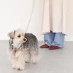 シュリンクレザーハーネス - 画像 (9)