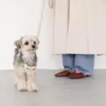 シュリンクレザーハーネス - 画像 (10)