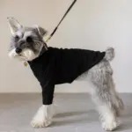 サークルチャームレザーカラー MEDIUM - 画像 (6)