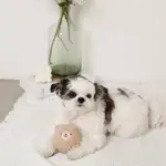 くまさんボアボール - 画像 (2)