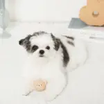 シリコンミニくまさんおもちゃ - 画像 (2)