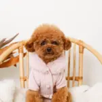 ファーカラーニットトップス - 画像 (2)