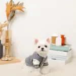 ワッペン付きスタジャン