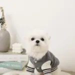 ワッペン付きスタジャン