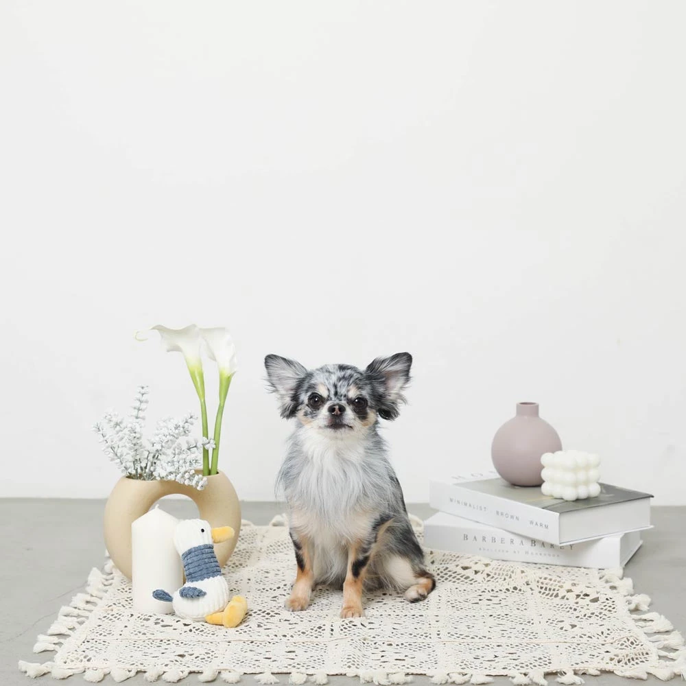 犬 用 ダウン ジャケット 性能比較チャート