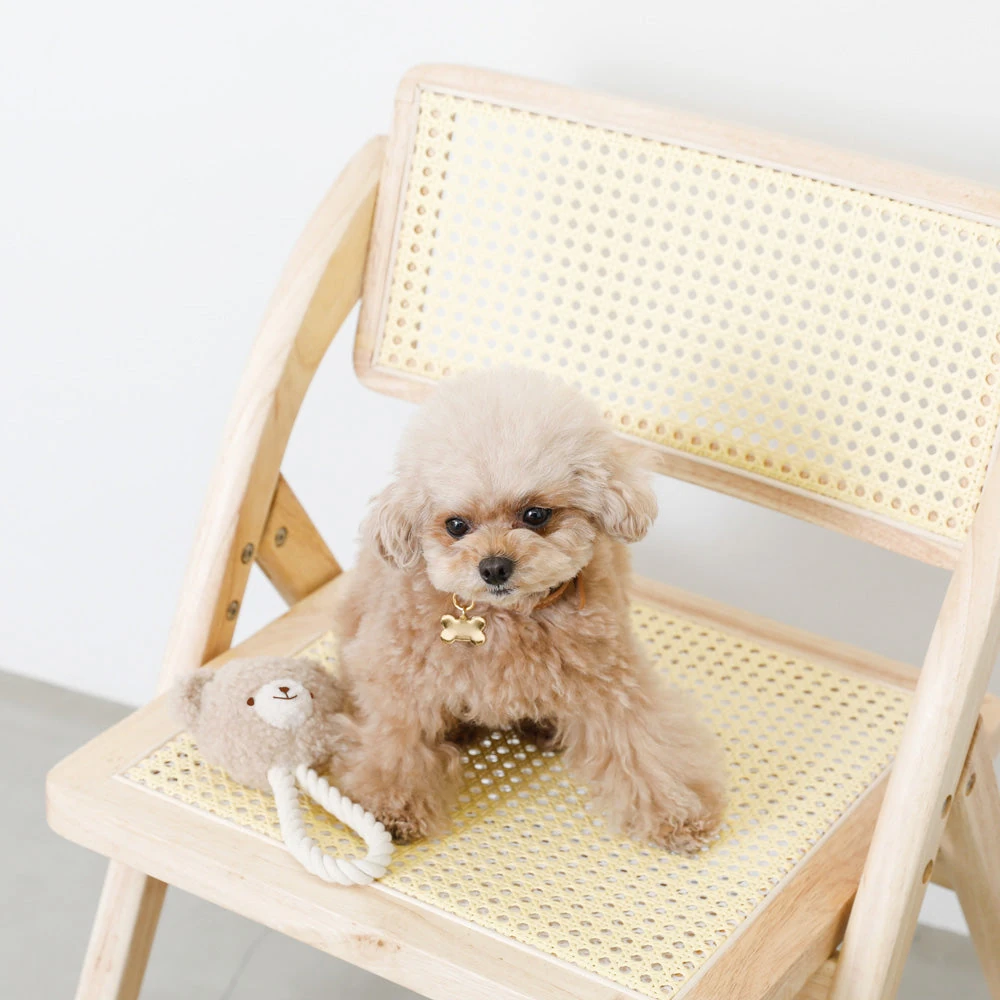 犬 服 サイズ トイ プードル 購入ガイドイメージ