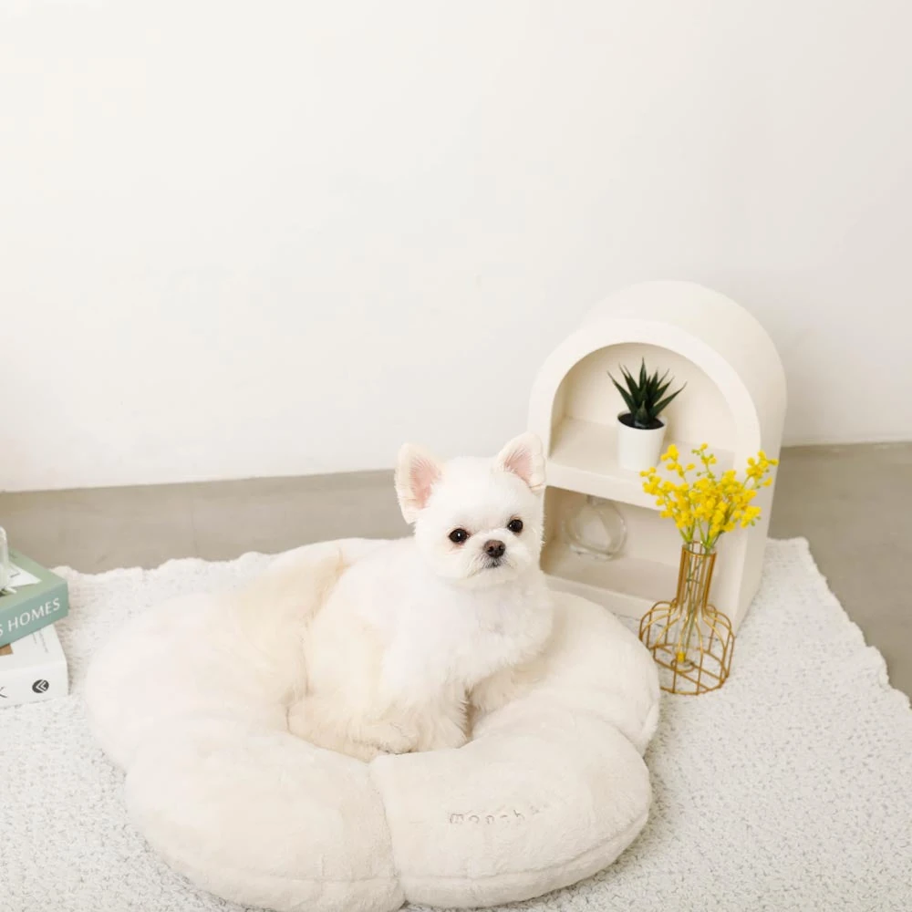 犬 用 ダウン ジャケット 老犬の快適な散歩