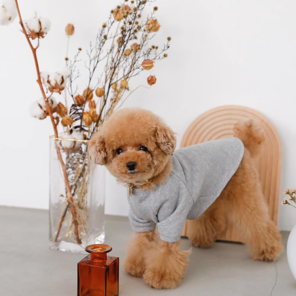 ドーム ハウス 値段 比較分析