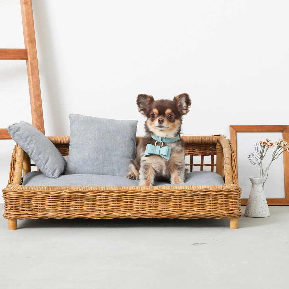 鳥かご gb - happy bird owner testimonial japan