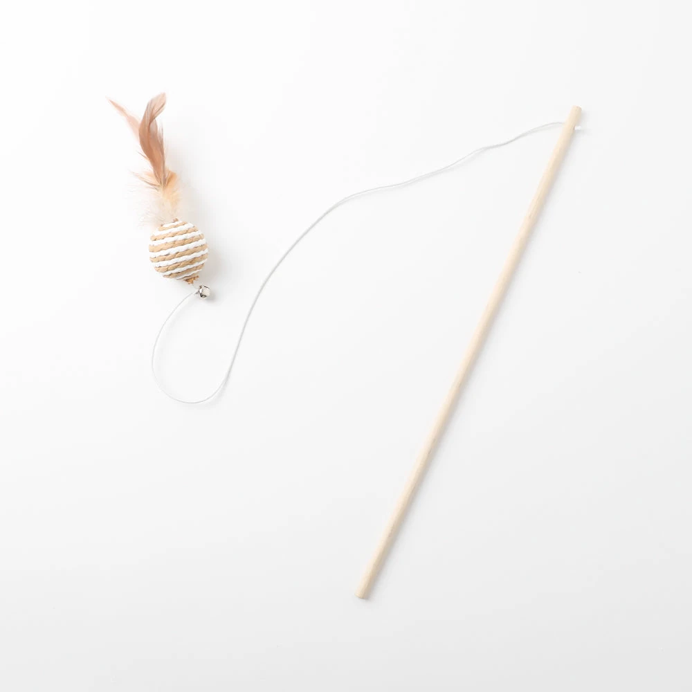 ドーム ハウス 値段 飼い主体験